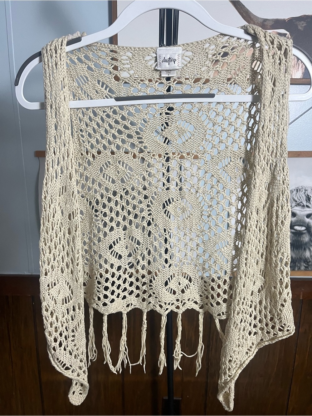 Daytrip Cream Crochet Open-Front Fringe Vest